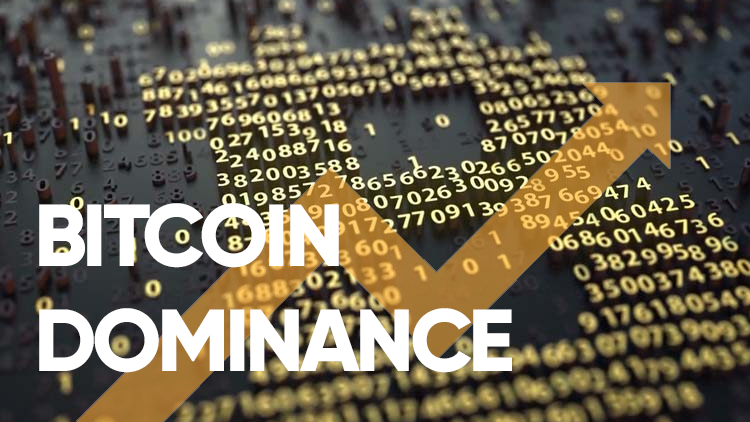 Bitcoin Dominance Continues To Rise Ultimate Money Explainer